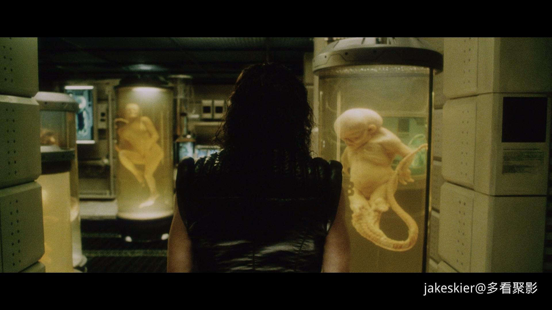 异形4 (6).jpg
