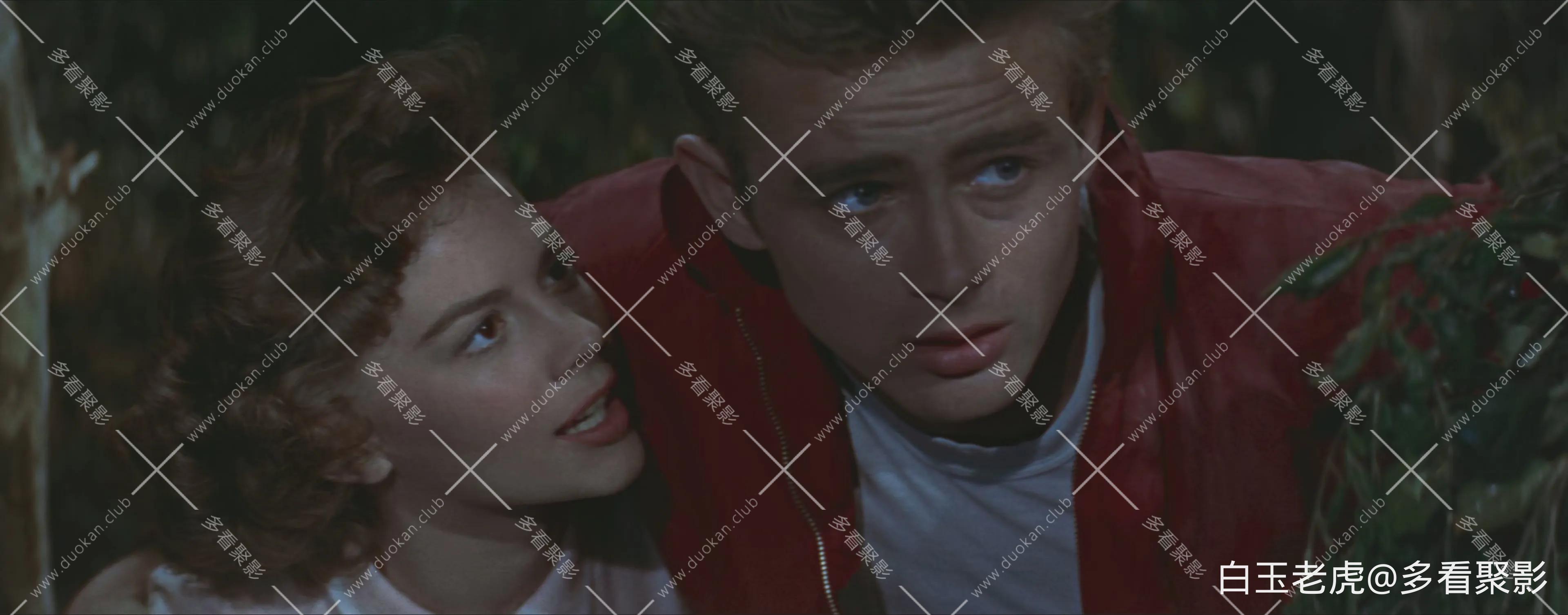 Rebel.Without.A.Cause.1955.2160p.4K.BluRay.x265.10bit.AAC5.1.2Audio-[YTS.MX] [by.webp