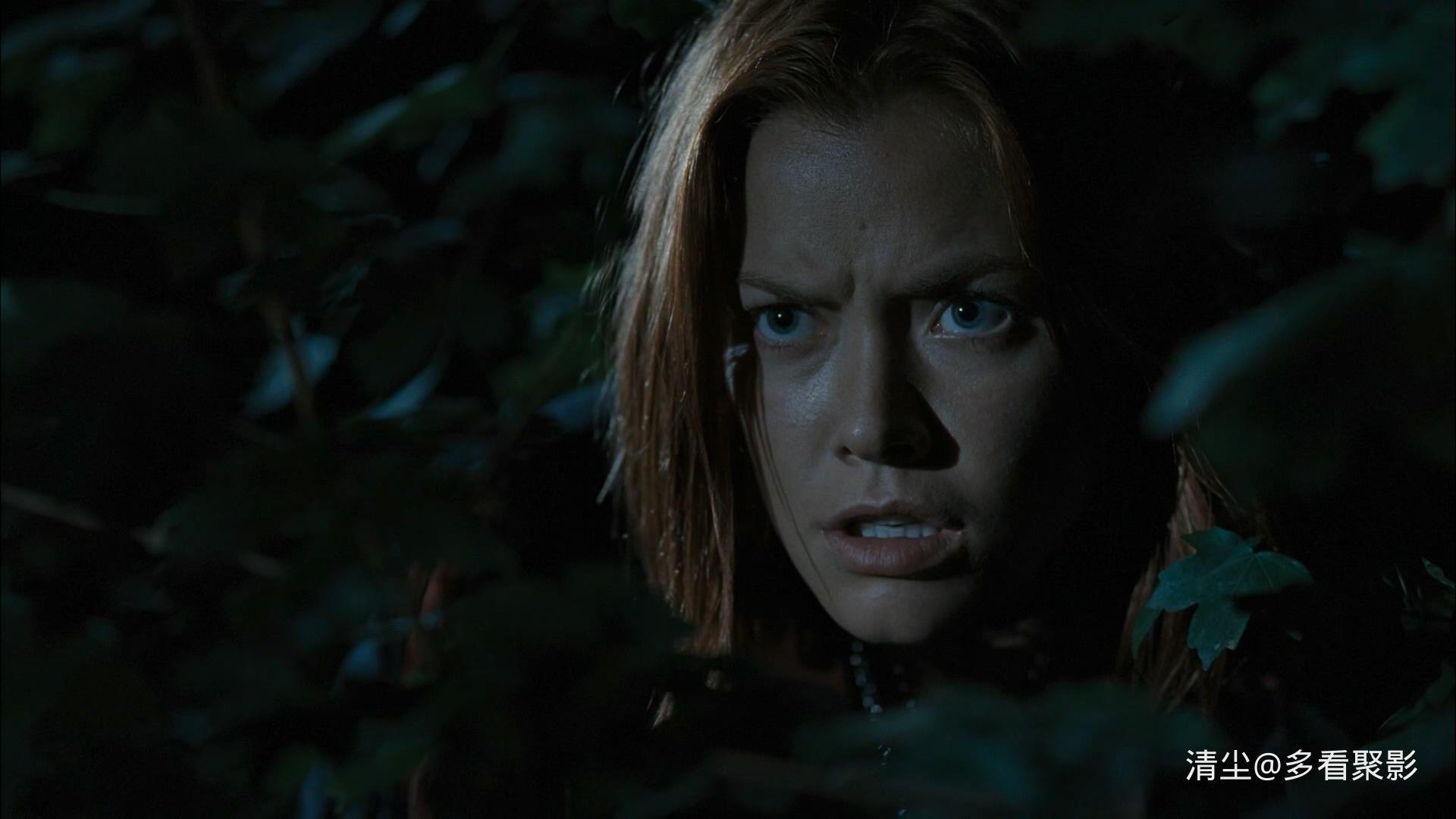 2005 吸血莱恩 BloodRayne.mkv_20251212_152410.029.jpg