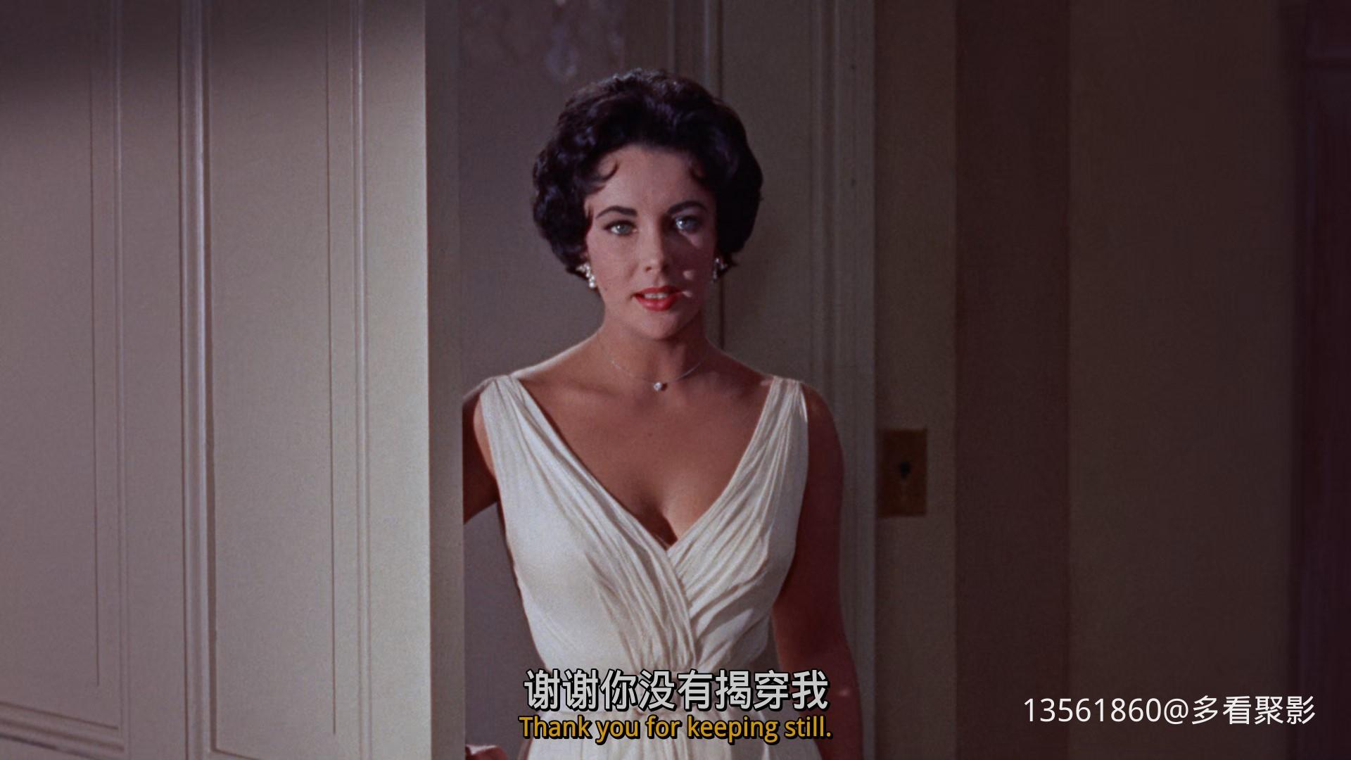 热铁皮屋顶上的猫Cat on a Hot-01_47_09-2025_12_26_10_24_46.jpg