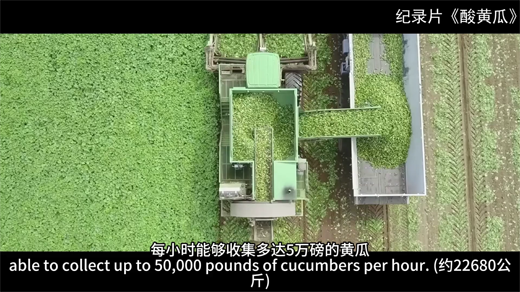记录片酸黄瓜[00_04_49][20260109-144327].png