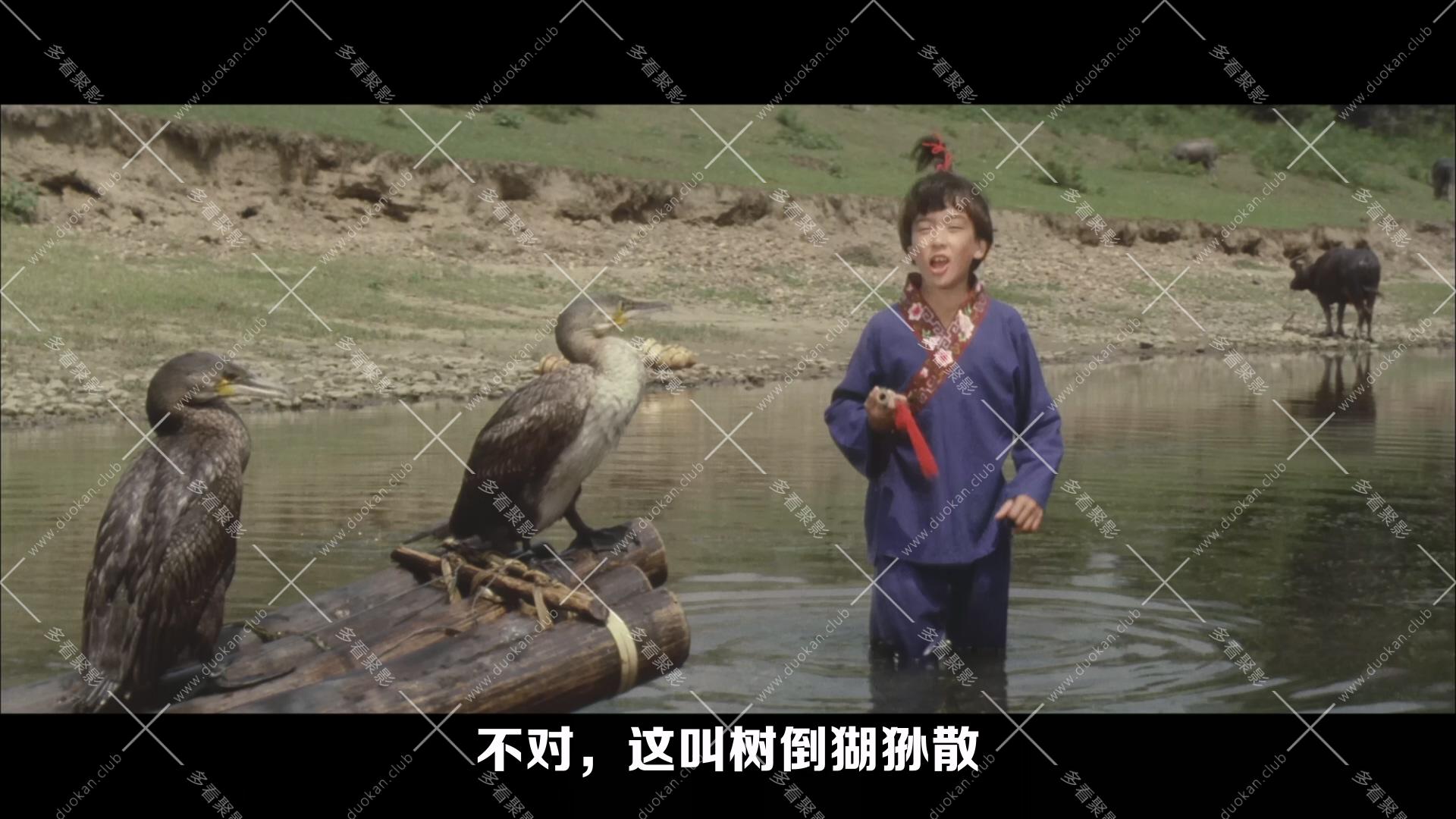 少林小子.1984.mkv_000709.761.jpg
