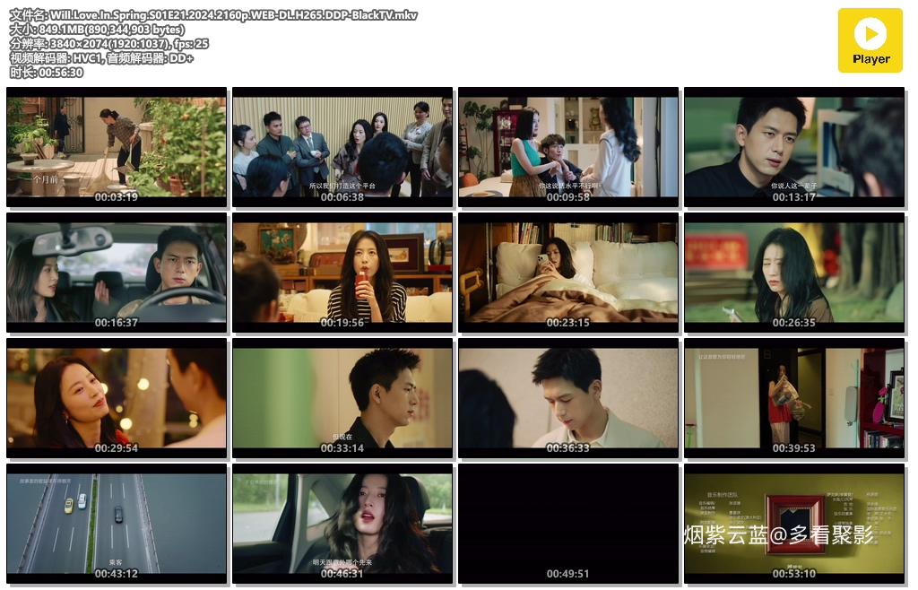 Will.Love.In.Spring.S01E21.2024.2160p.WEB-DL.H265.DDP-BlackTV.mkv.jpg