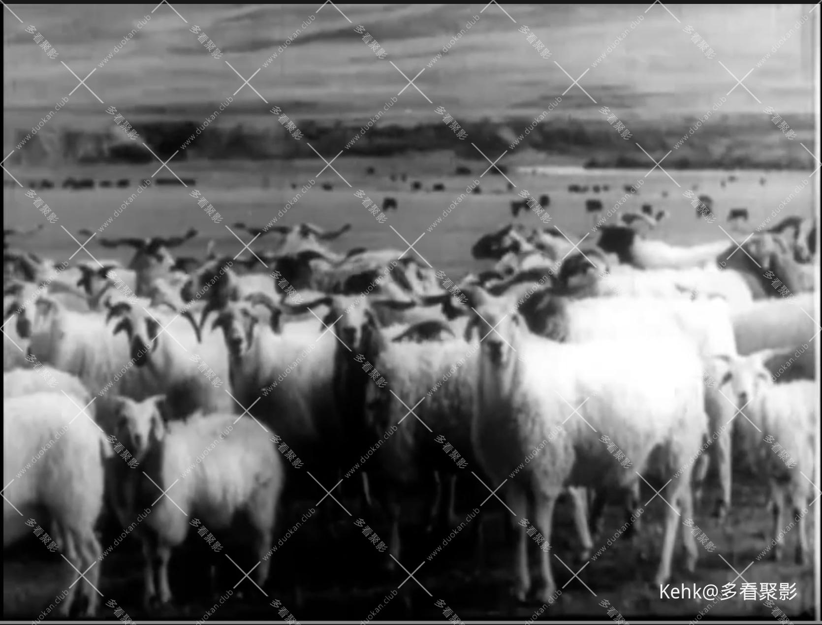 截屏2026-01-25 19.31.25.jpeg