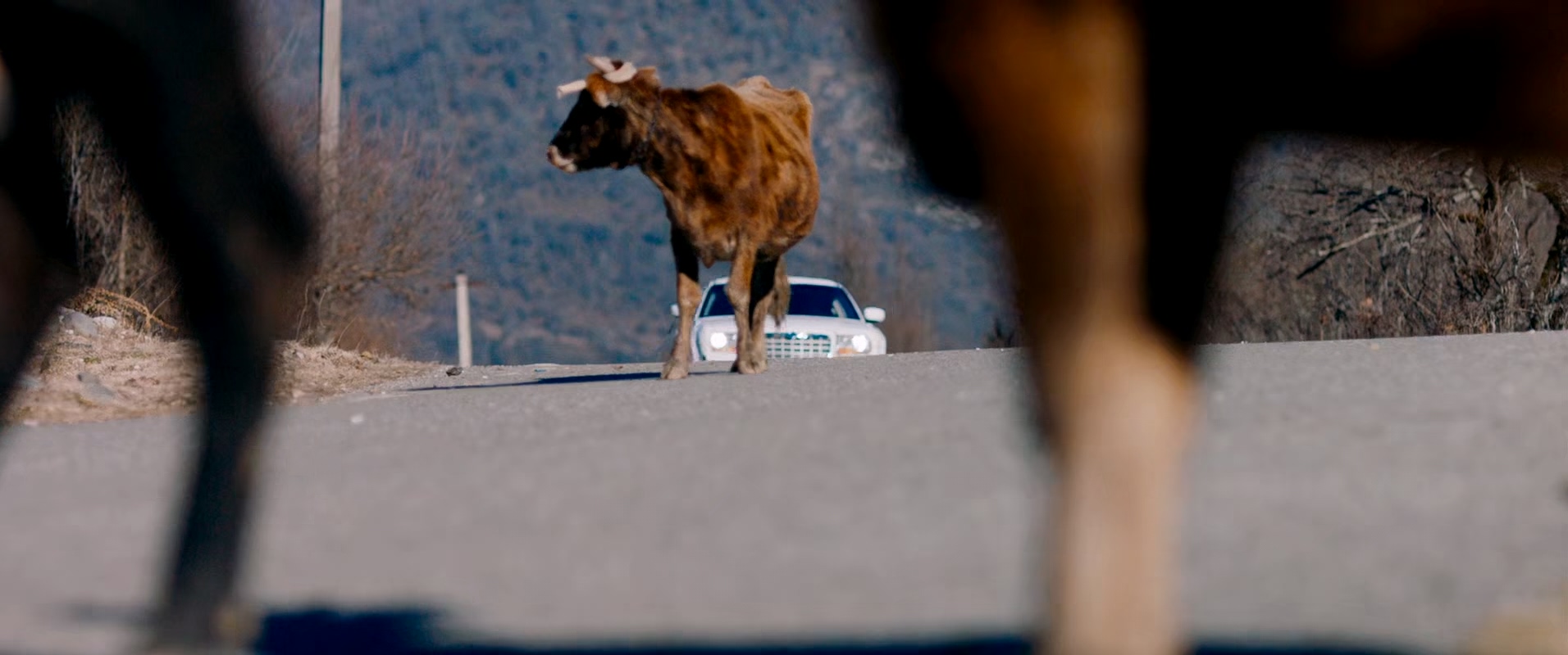 厨王争霸赛.Кухня. Последняя.битва.2017.BluRay.1080p.x265.10bi.jpg