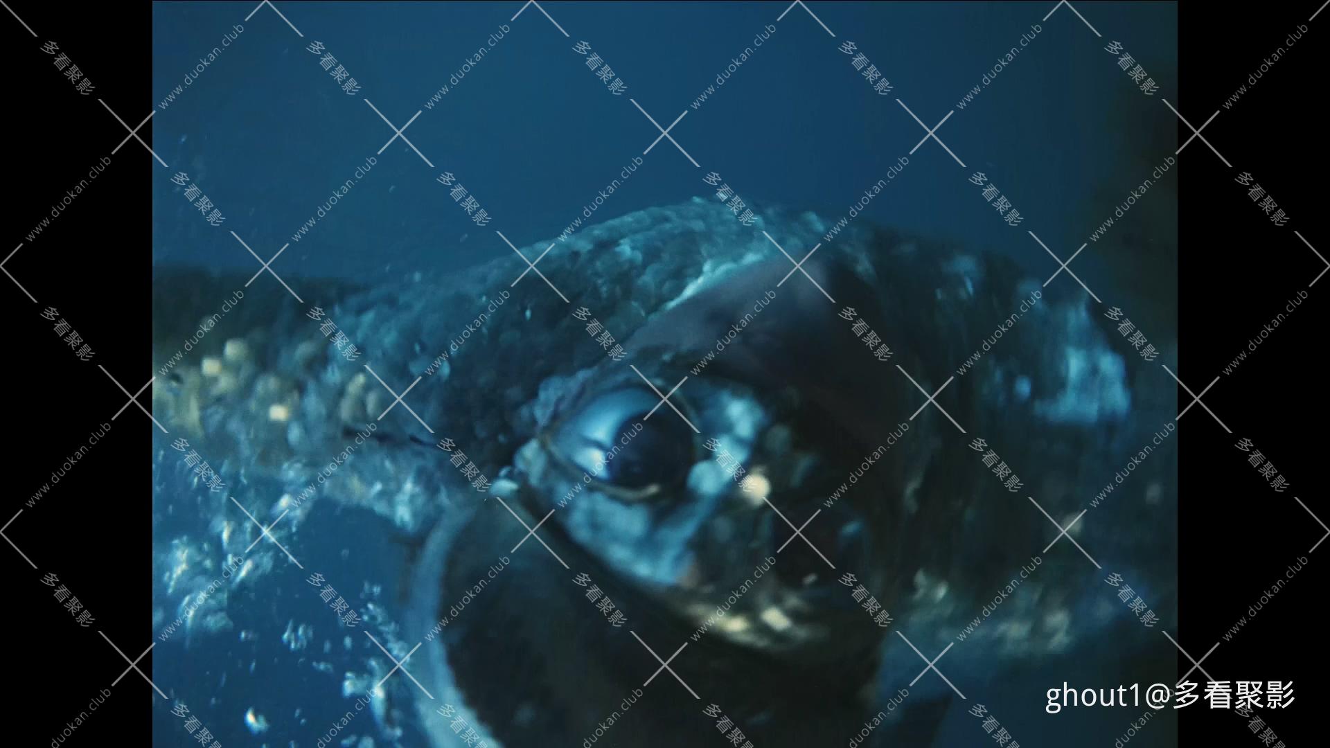 前苏联 两栖人 1961 (Человек-амфибия).mkv_000324.229.jpg