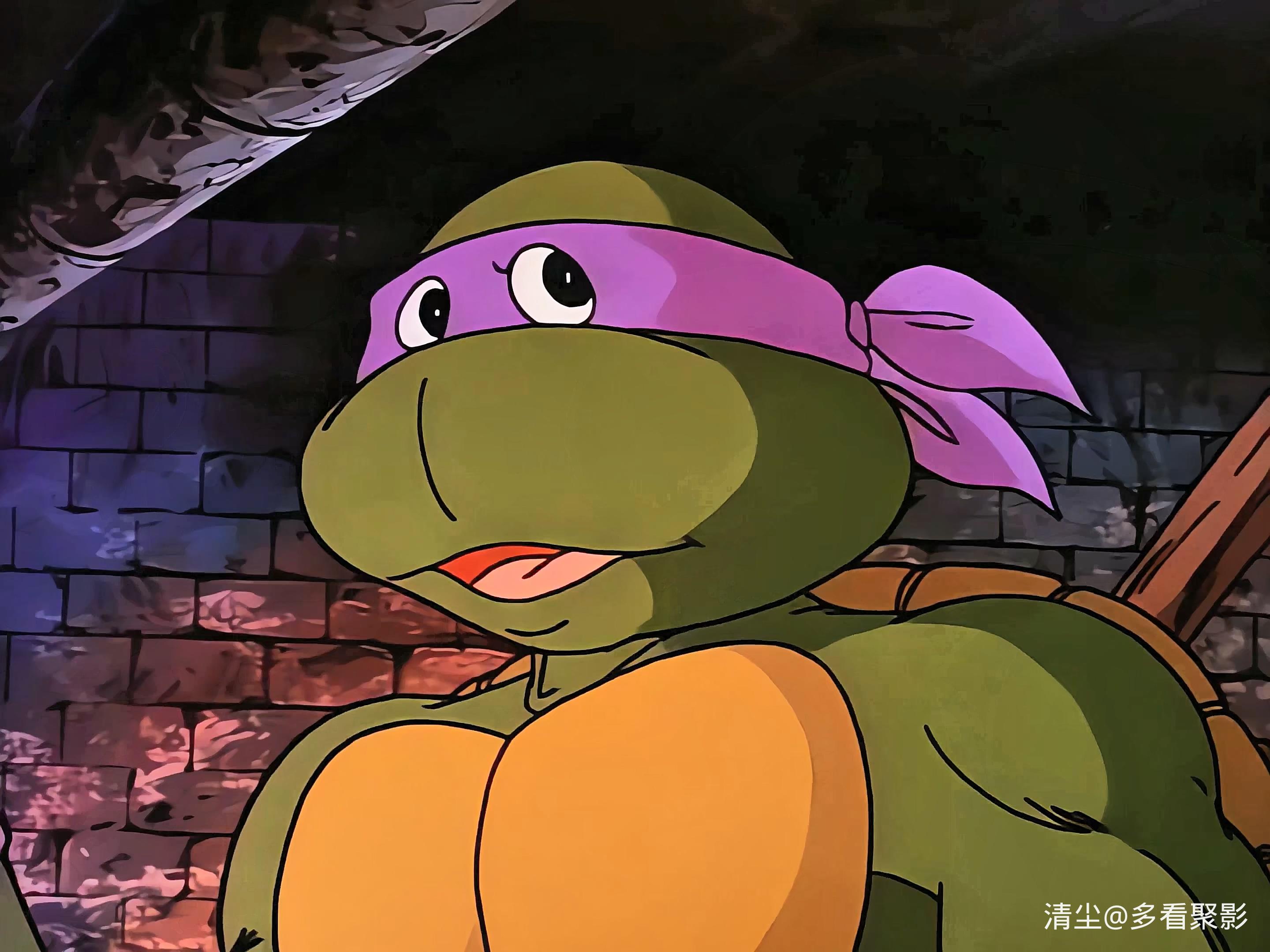 S01 E01 乌龟的足迹.mkv_20260216_215816.830.jpg