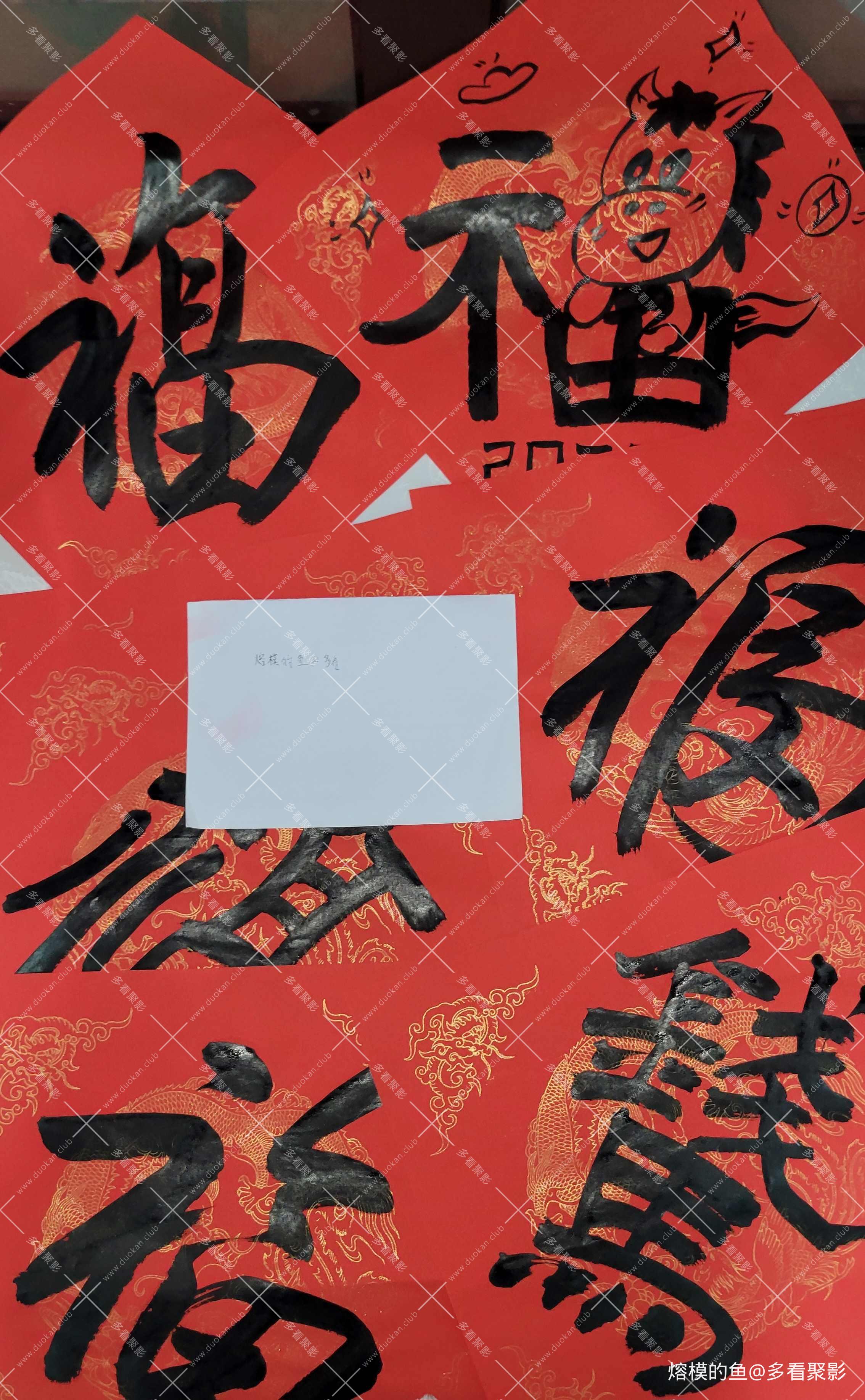 20260217_204753 .jpg