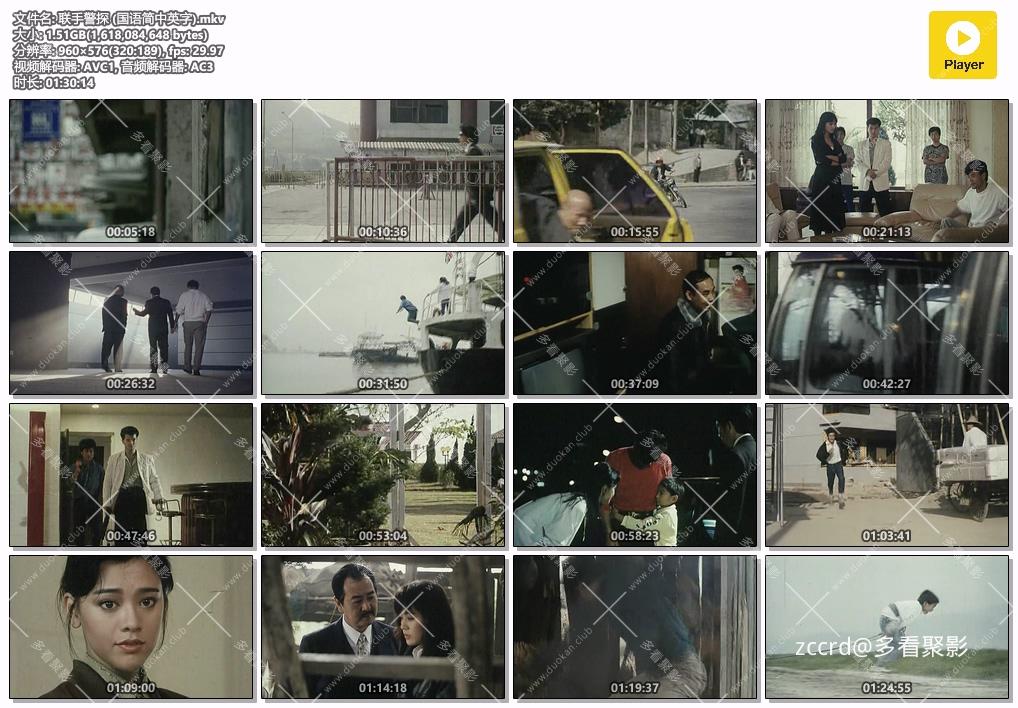 联手警探 (国语简中英字).mkv.jpg