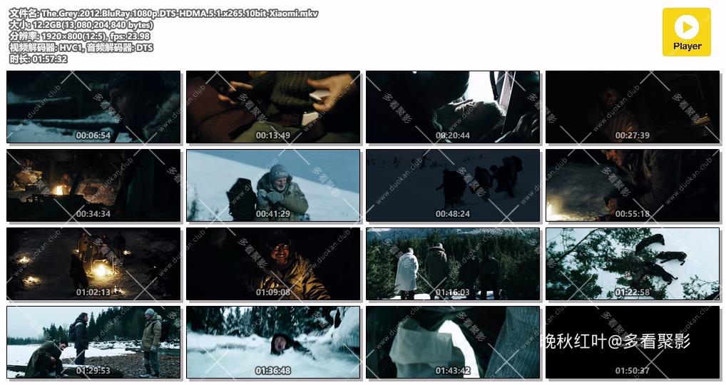 The.Grey.2012.BluRay.1080p.DTS-HDMA.5.1.x265.10bit-Xiaomi.mkv.jpg
