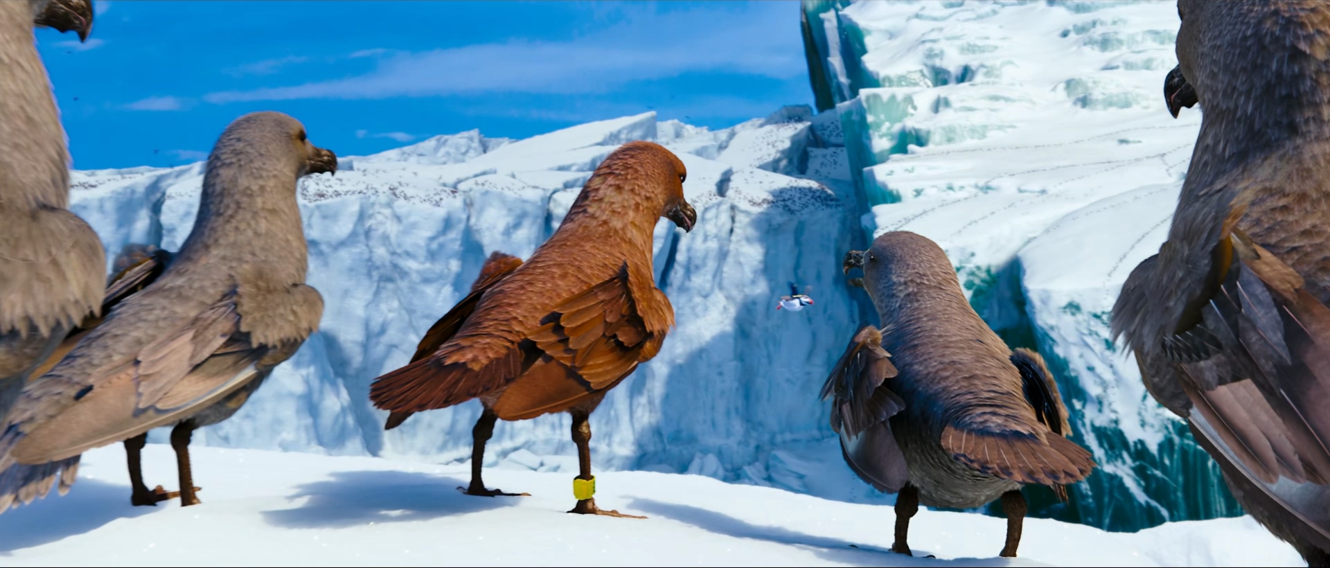 2011 快乐的大脚2 Happy Feet Two .mkv_20260316_173251.865.jpg