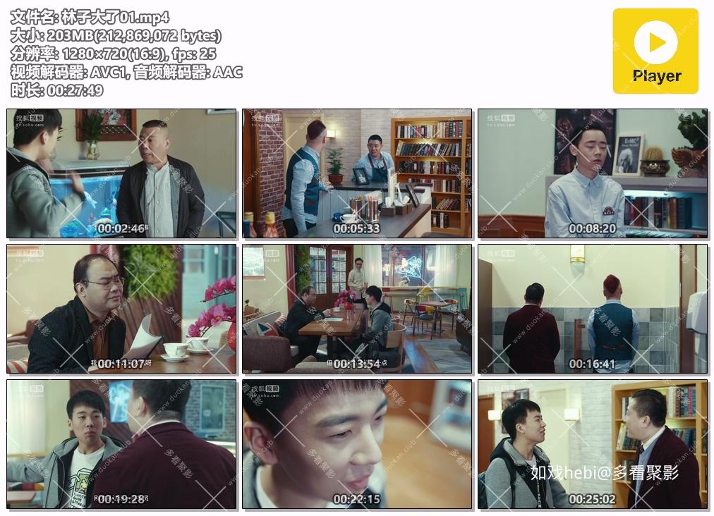 林子大了01.mp4.jpg