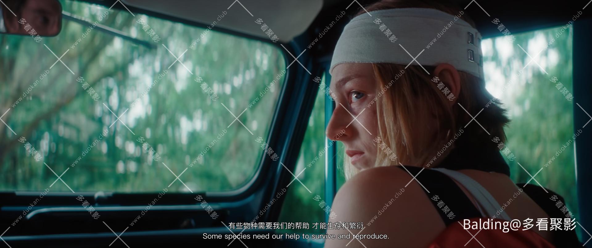 Cuckoo.2024.1080p.CAN.BluRay.10bit.SVT-AV1.AAC5.1-Balding-0003.jpg