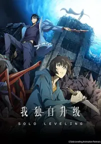 [夸克/123/UC]我独自升级.俺だけレベルアップな件.2024.WEBDL.DIY.1080P.台配繁中[全12集][19G]